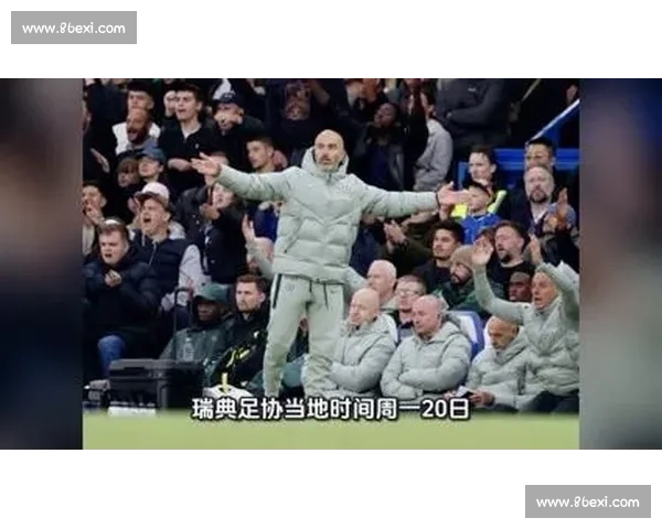 波特：为瑞典足球情怀自荐，薪酬非考量