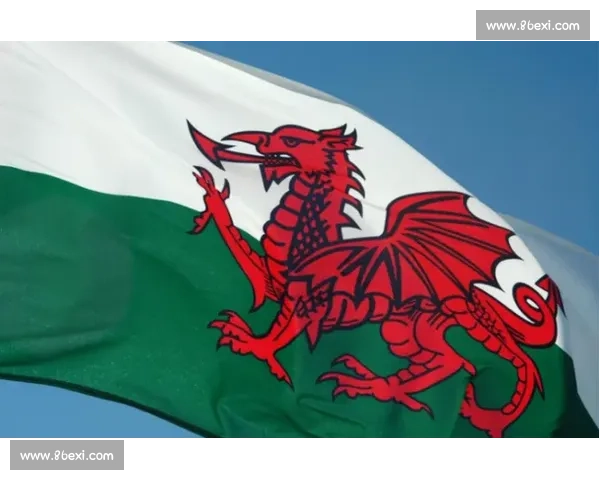 威尔士顽强逼平美国双方激战九十分钟展现世界杯魅力焦点对决引热议